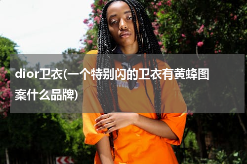 dior卫衣(一个特别闪的卫衣有黄蜂图案什么品牌)
