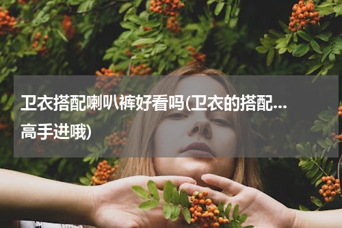 卫衣搭配喇叭裤好看吗(卫衣的搭配...高手进哦)