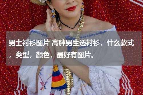 男士衬衫图片 高胖男生选衬衫，什么款式，类型，颜色，最好有图片。