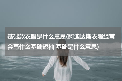 基础款衣服是什么意思(阿迪达斯衣服经常会写什么基础短袖 基础是什么意思)