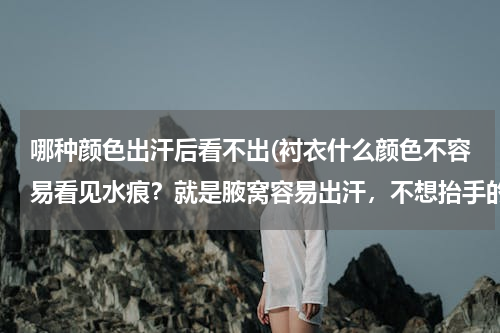 哪种颜色出汗后看不出(衬衣什么颜色不容易看见水痕？就是腋窝容易出汗，不想抬手的时候被人家看见腋窝湿痕。)