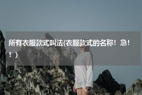 所有衣服款式叫法(衣服款式的名称！急！！)