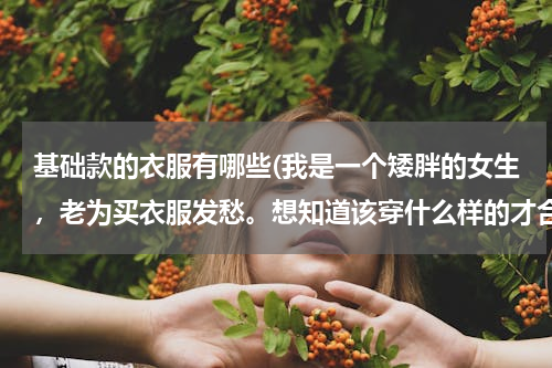 基础款的衣服有哪些(我是一个矮胖的女生，老为买衣服发愁。想知道该穿什么样的才合适，在此谢啦！)
