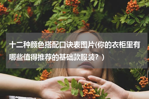 十二种颜色搭配口诀表图片(你的衣柜里有哪些值得推荐的基础款服装？)