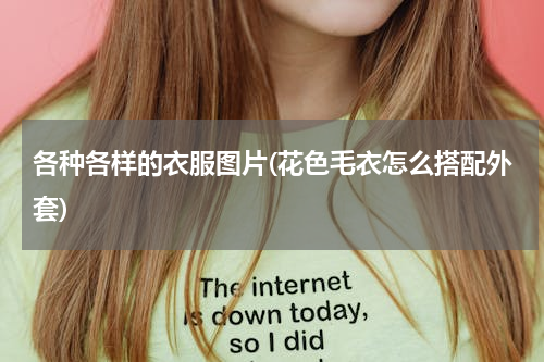 各种各样的衣服图片(花色毛衣怎么搭配外套)