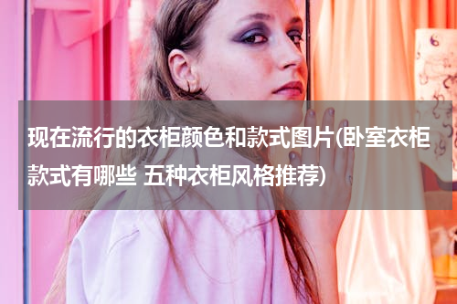 现在流行的衣柜颜色和款式图片(卧室衣柜款式有哪些 五种衣柜风格推荐)