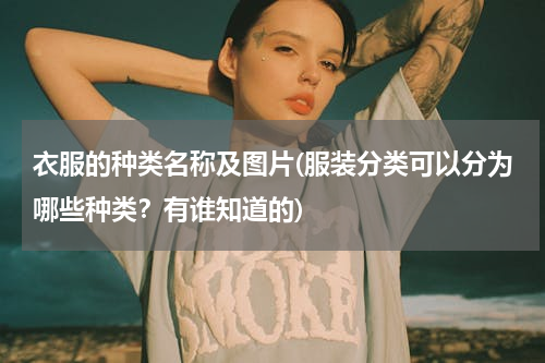 衣服的种类名称及图片(服装分类可以分为哪些种类？有谁知道的)