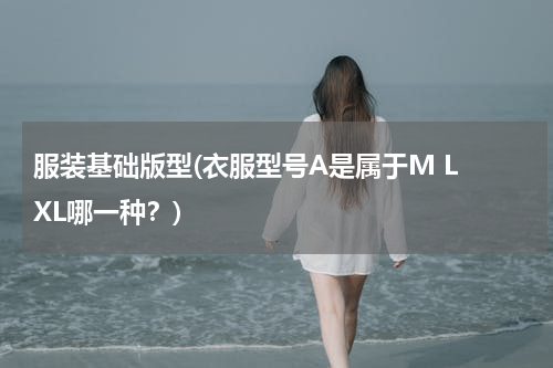服装基础版型(衣服型号A是属于M L XL哪一种？)