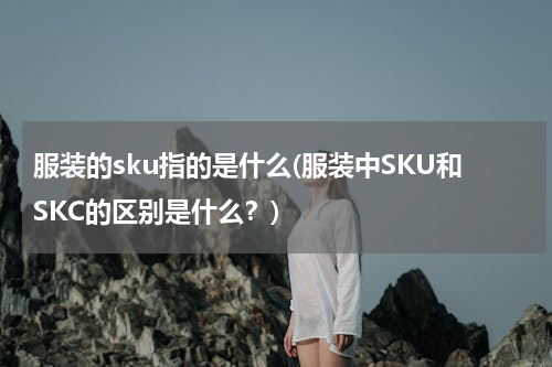 服装的sku指的是什么(服装中SKU和SKC的区别是什么？)