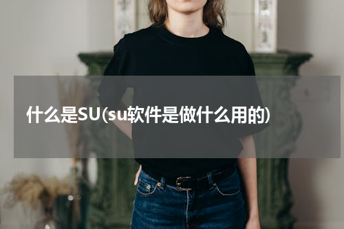 什么是SU(su软件是做什么用的)